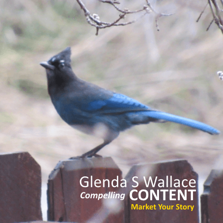 Learn more about websites by Glenda S Wallace & her GSWrite Communications
